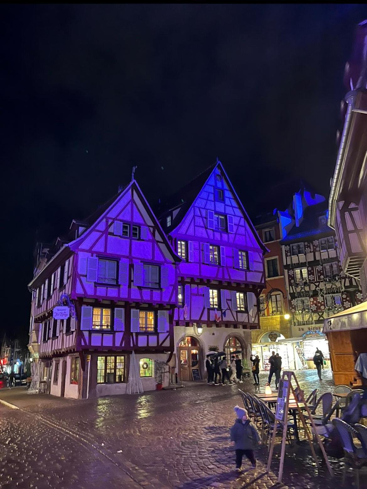 Апартаменти Colmar - Le Nichoir - Centre Historique - Parking Gratuit - Box Velo & Poussette Екстер'єр фото